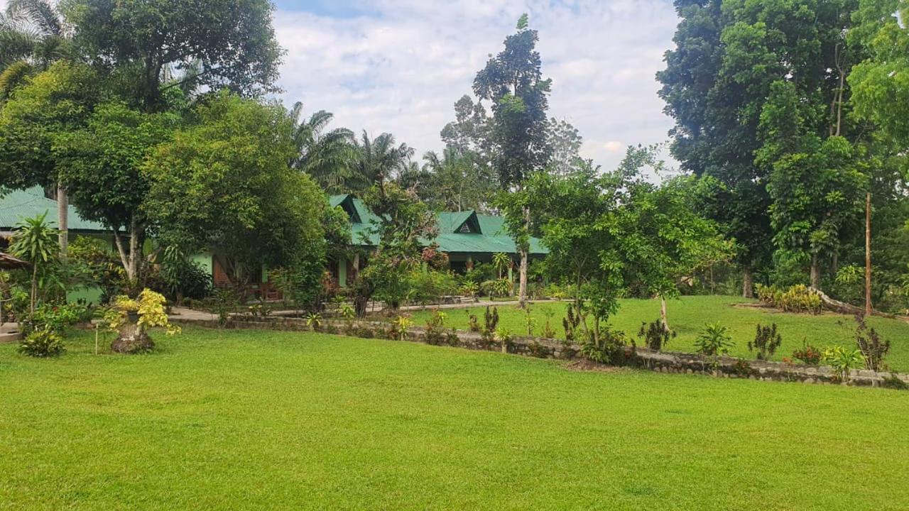 Wisma Batu Mandi Bukit Lawang Dış mekan fotoğraf