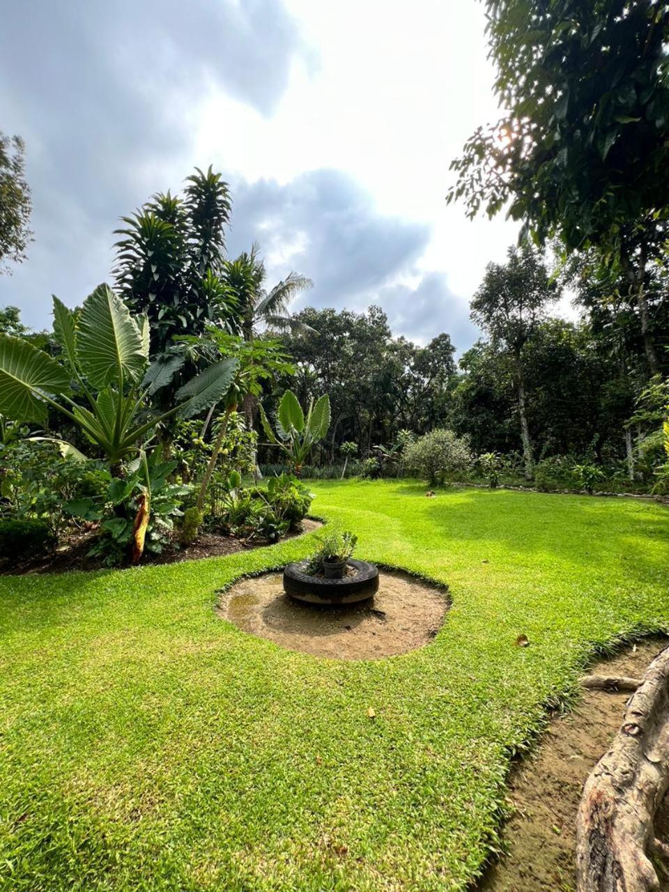 Wisma Batu Mandi Bukit Lawang Dış mekan fotoğraf
