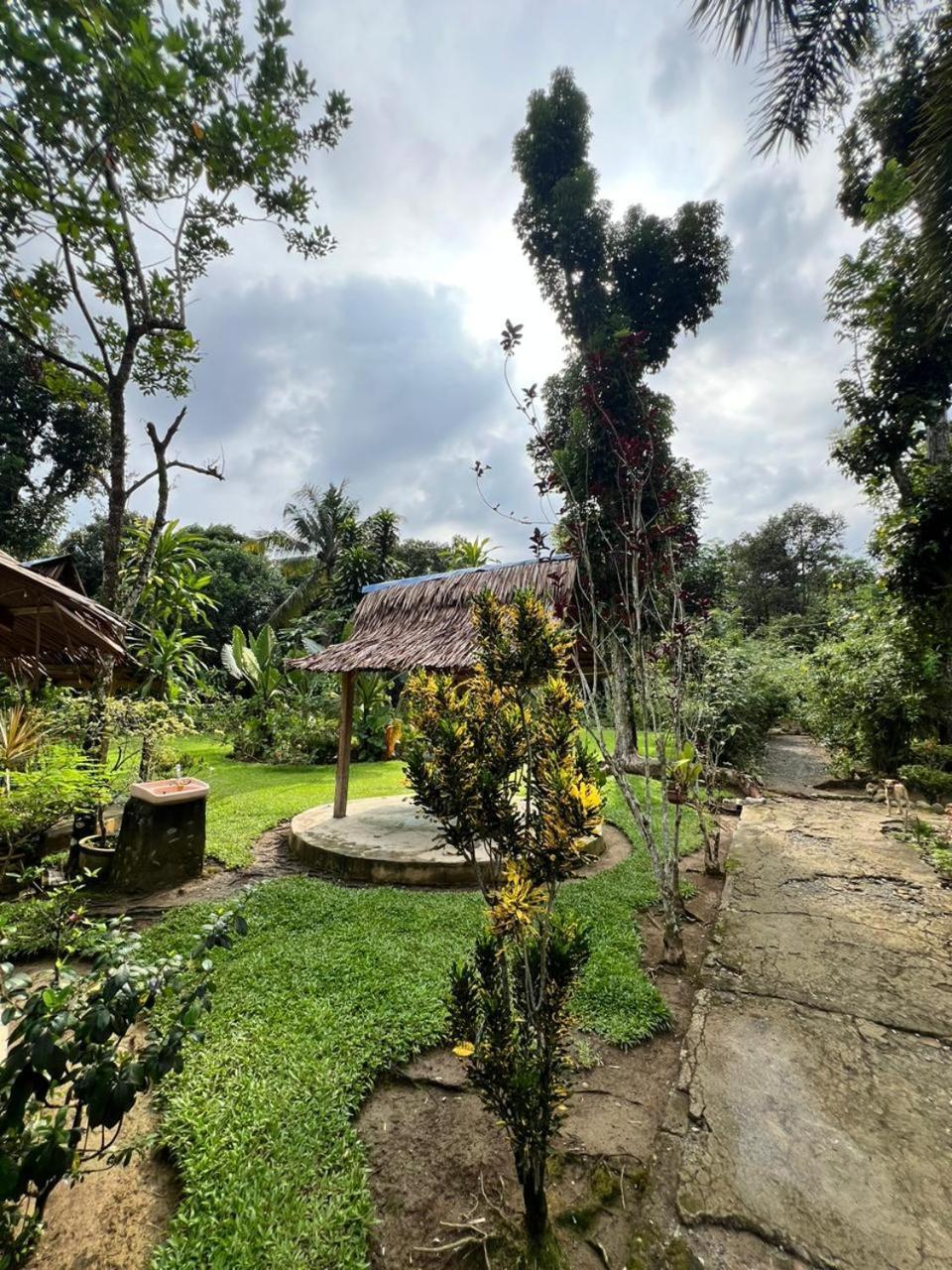Wisma Batu Mandi Bukit Lawang Dış mekan fotoğraf
