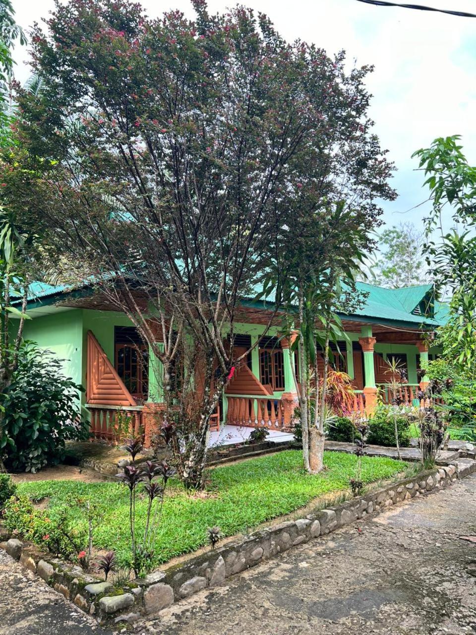 Wisma Batu Mandi Bukit Lawang Dış mekan fotoğraf