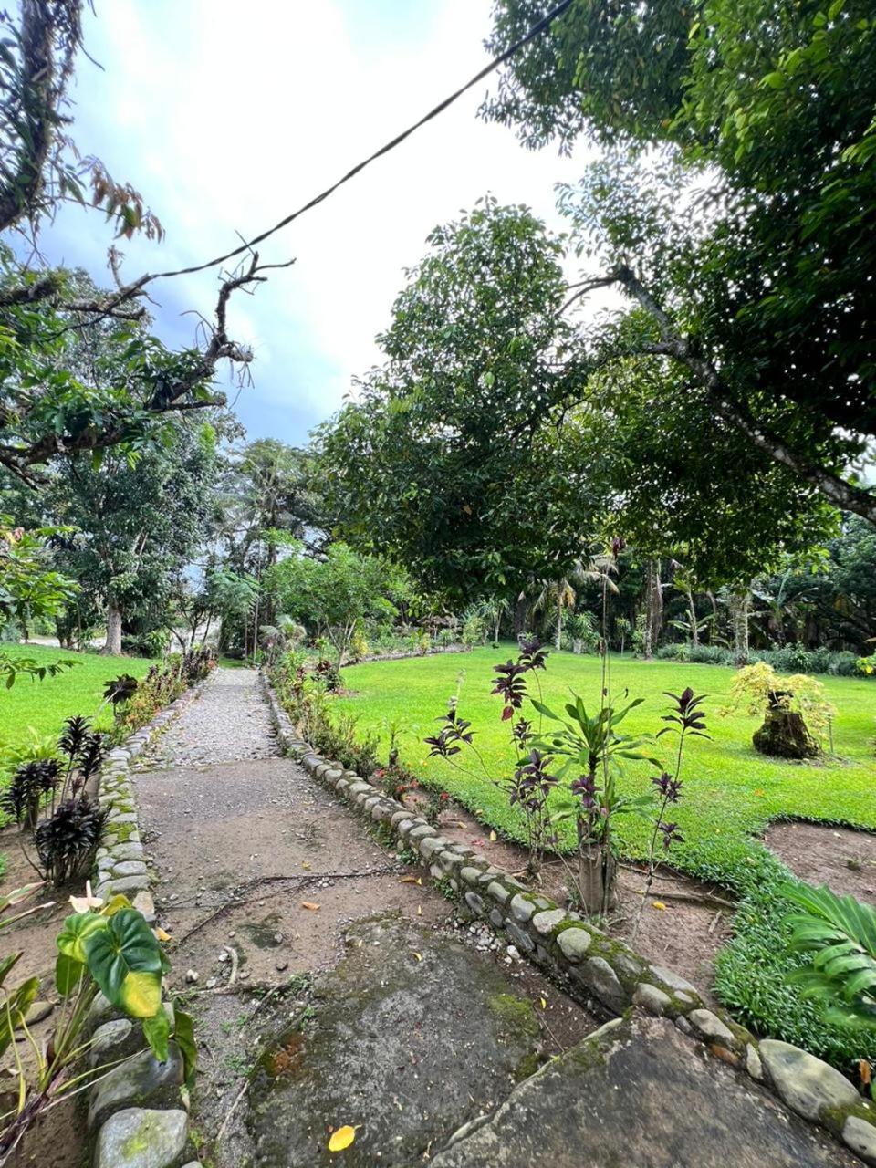 Wisma Batu Mandi Bukit Lawang Dış mekan fotoğraf