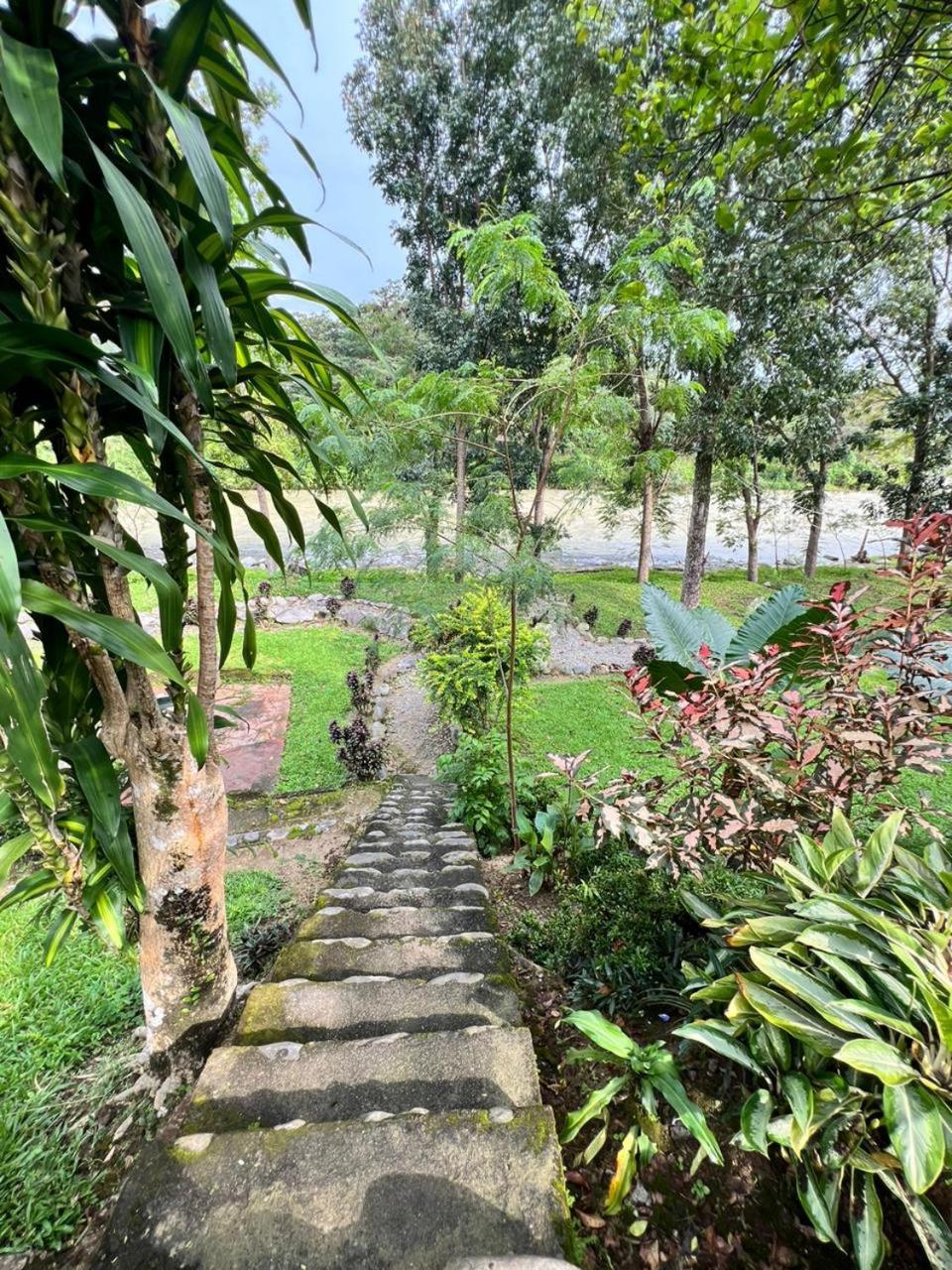 Wisma Batu Mandi Bukit Lawang Dış mekan fotoğraf