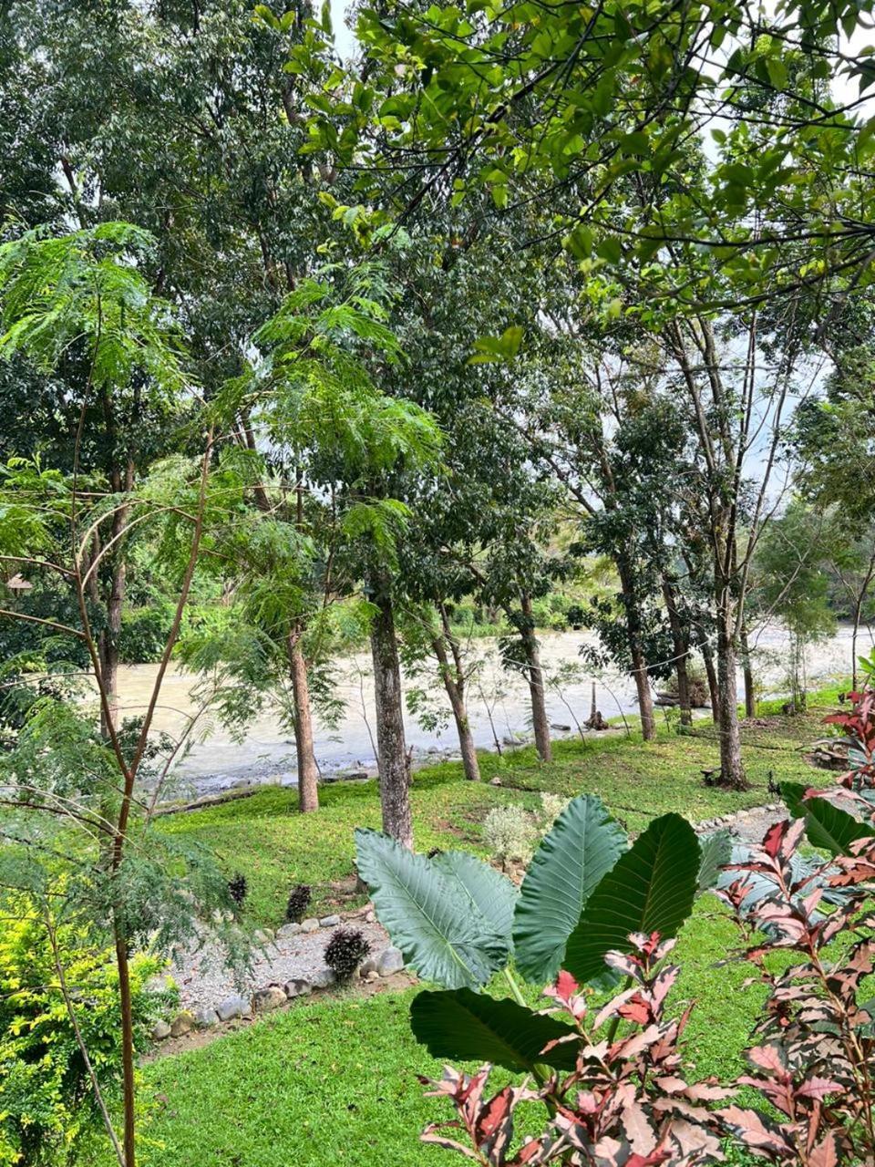 Wisma Batu Mandi Bukit Lawang Dış mekan fotoğraf