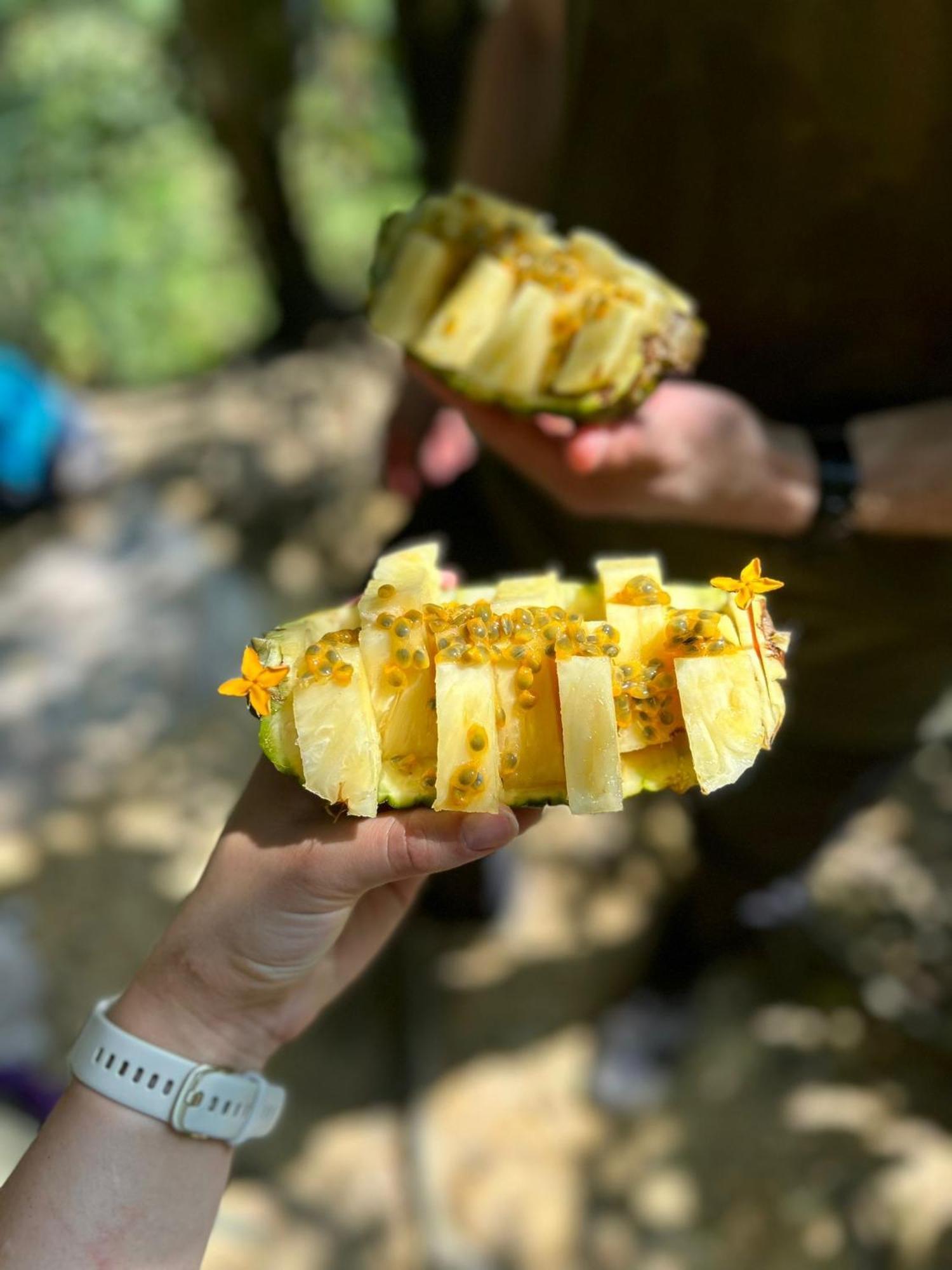 Wisma Batu Mandi Bukit Lawang Dış mekan fotoğraf
