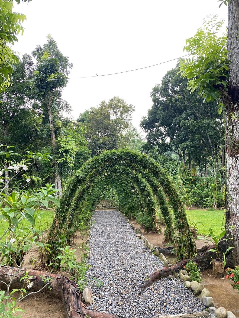 Wisma Batu Mandi Bukit Lawang Dış mekan fotoğraf