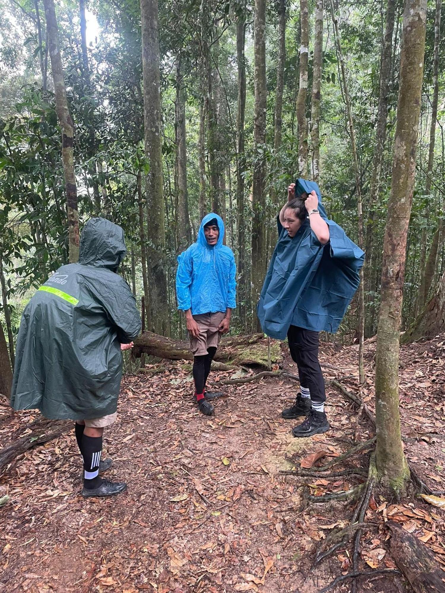 Wisma Batu Mandi Bukit Lawang Dış mekan fotoğraf