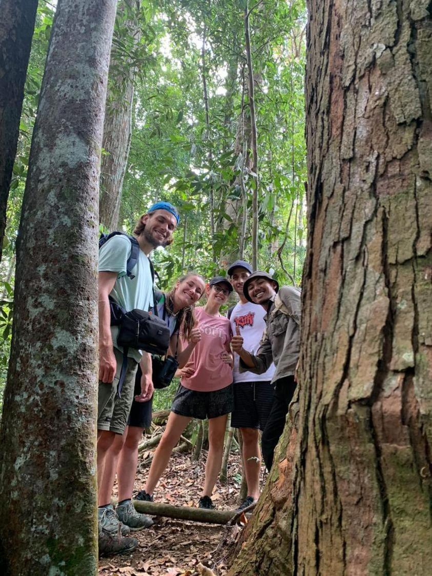 Wisma Batu Mandi Bukit Lawang Dış mekan fotoğraf