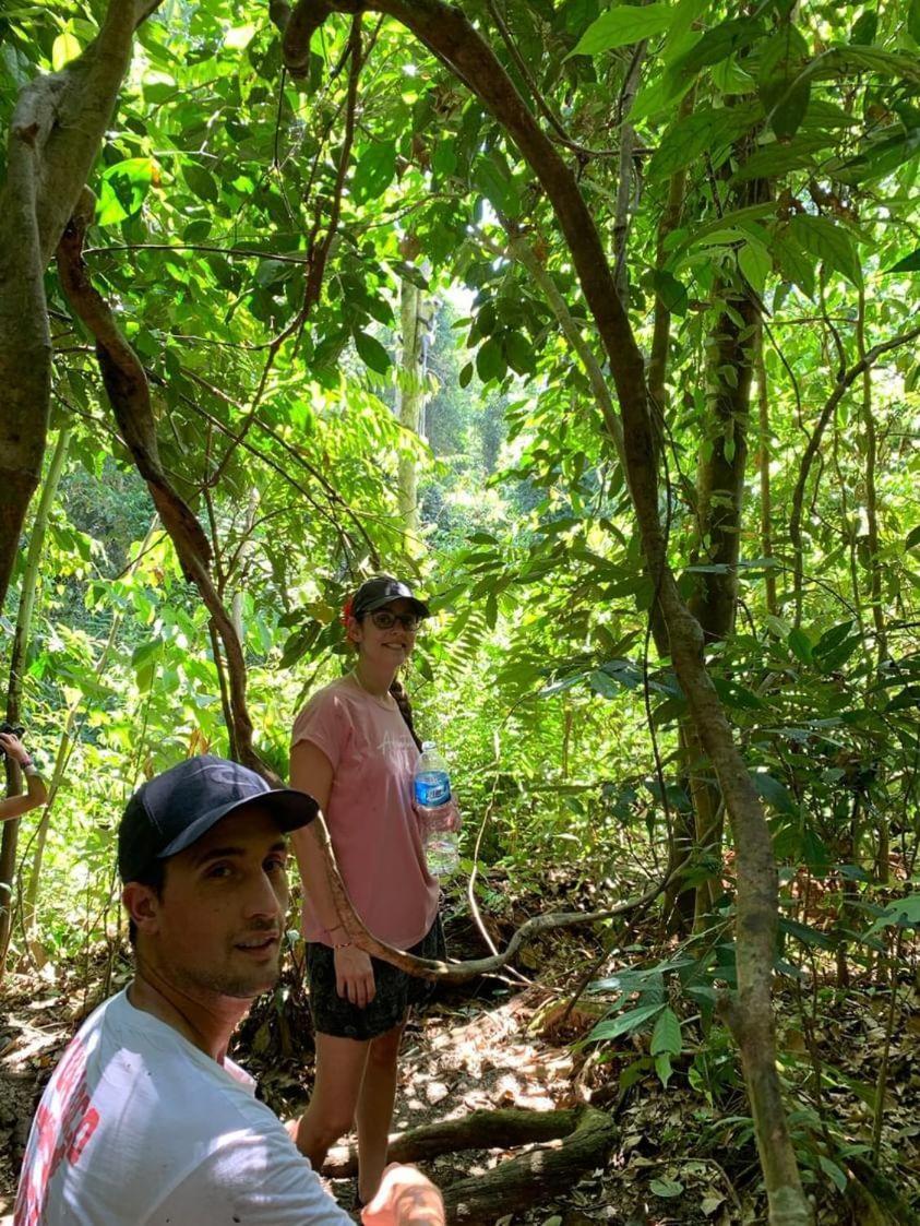 Wisma Batu Mandi Bukit Lawang Dış mekan fotoğraf