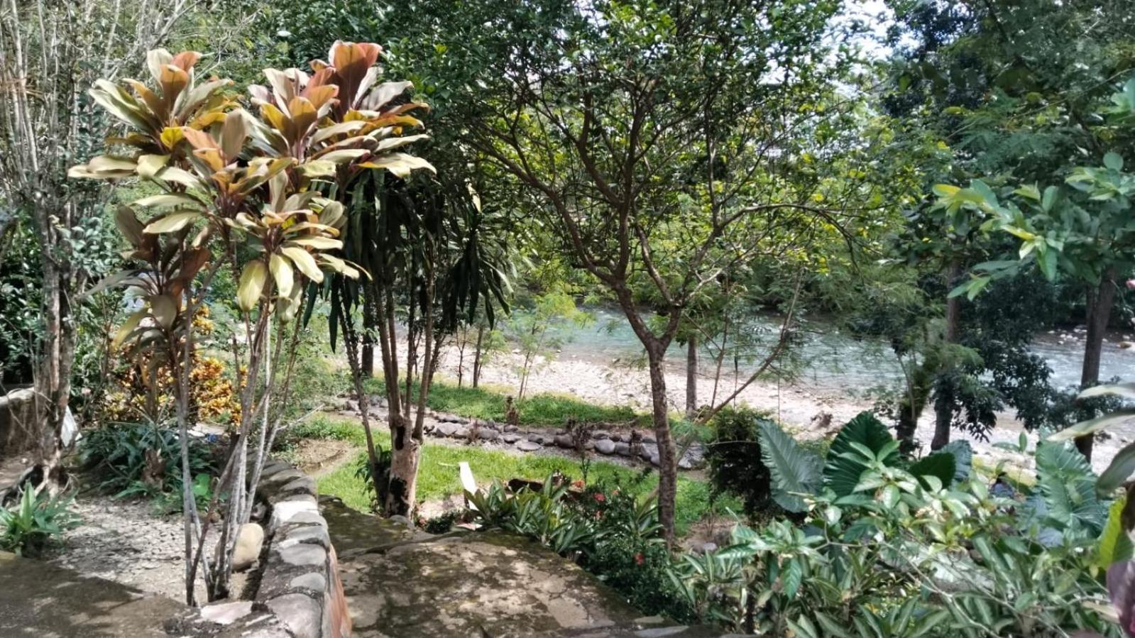 Wisma Batu Mandi Bukit Lawang Dış mekan fotoğraf
